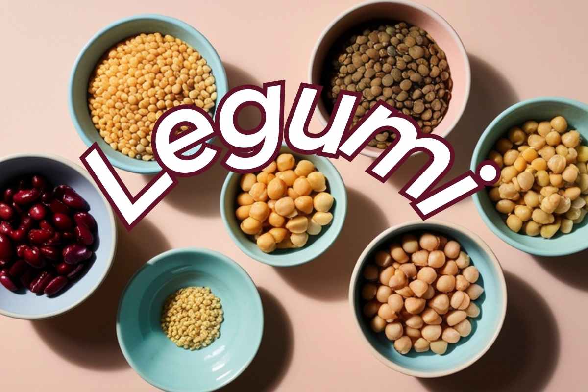 legumi più comuni in ciotoline