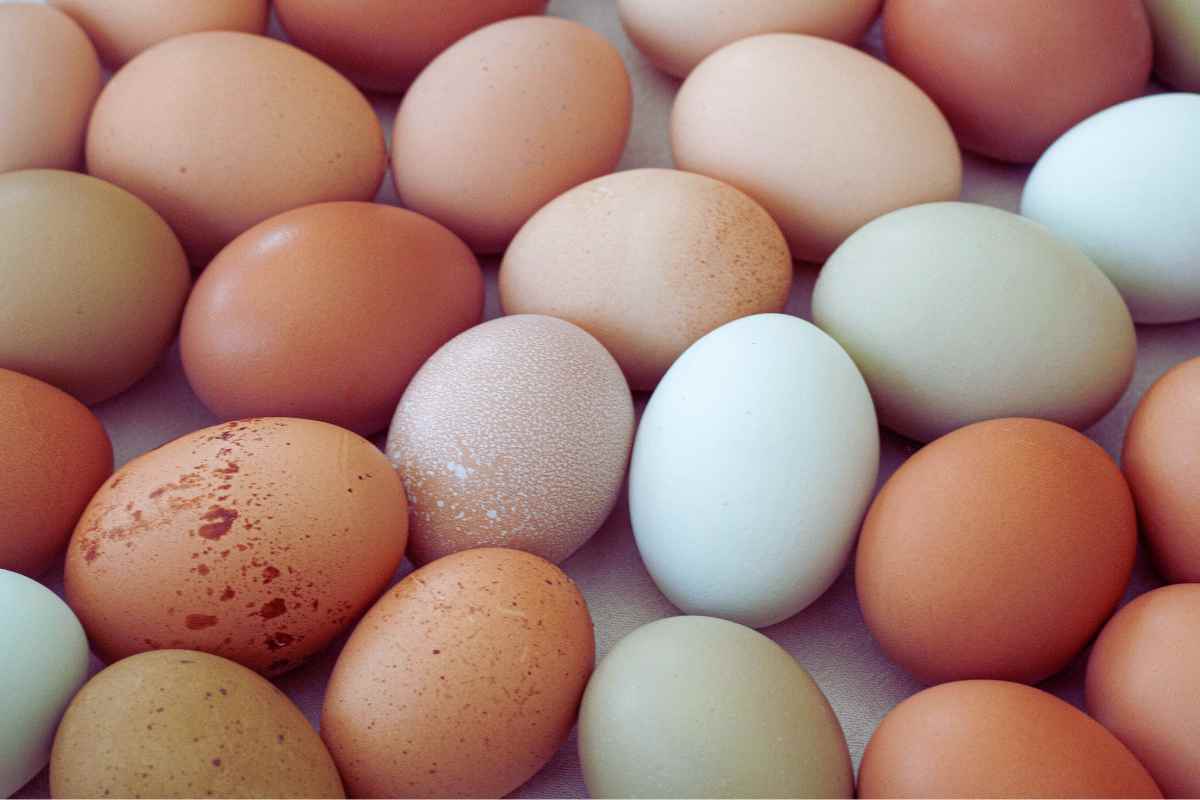 tante uova differenti