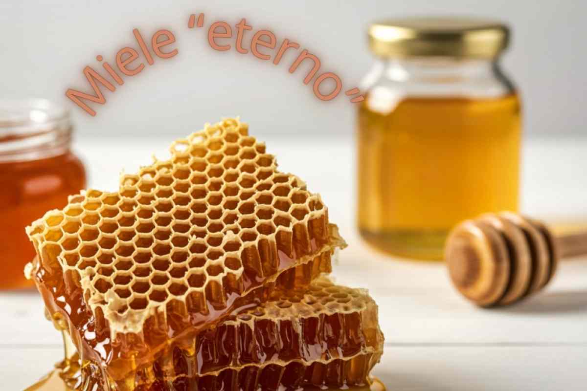 vasetto di miele sullo sfondo e miele in blocchi in primo piano